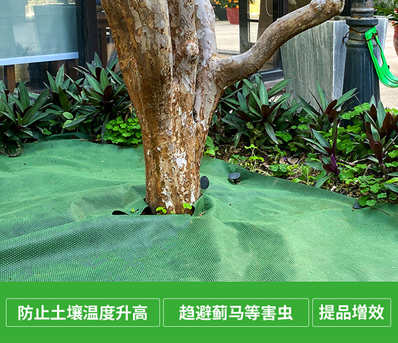 枇杷防寒布