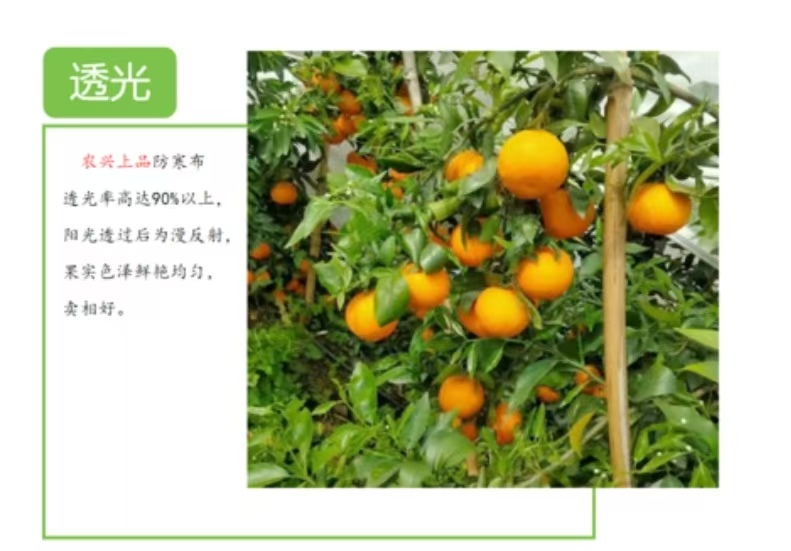 农兴上品_农用果园防寒布
